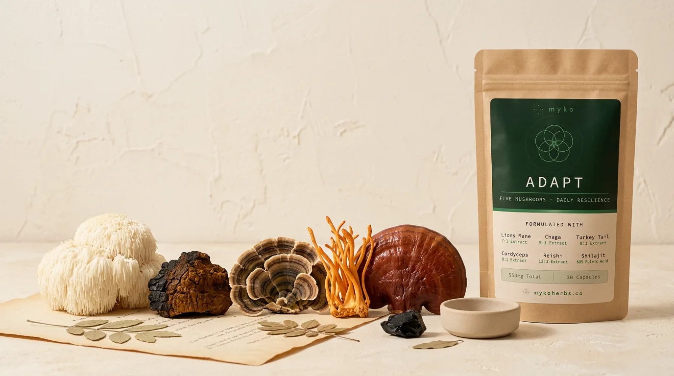 MYKO apothecary still life with the five functional mushrooms