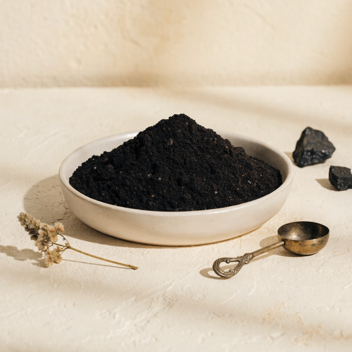 Apothecary still-life: open ceramic dish of finely milled Altai shilajit powder with antique brass measuring scoop, mineral crystal fragments, and dried botanical accent on cream plaster surface