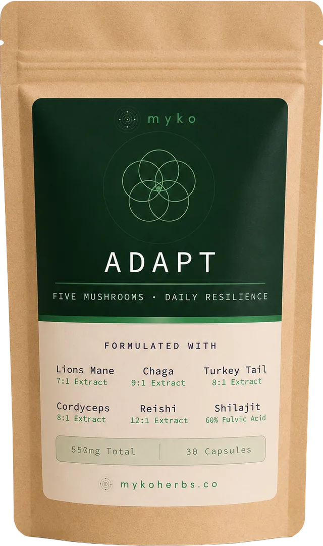 MYKO ADAPT — daily foundation five-mushroom mineral complex bottle