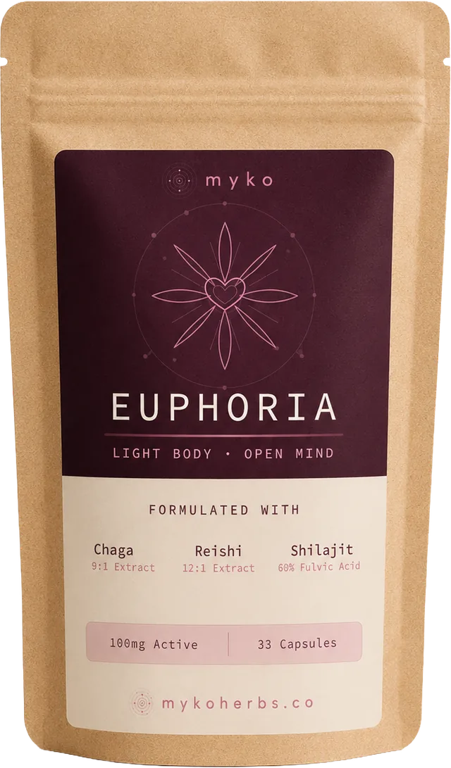 MYKO EUPHORIA — intentional reflection formula pouch