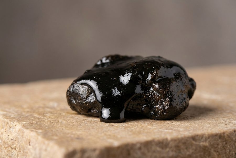 Shilajit — representative
